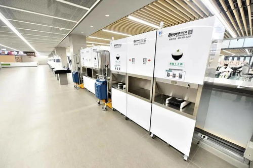 探秘北大家园食堂 科技赋能下的校园餐饮新体验